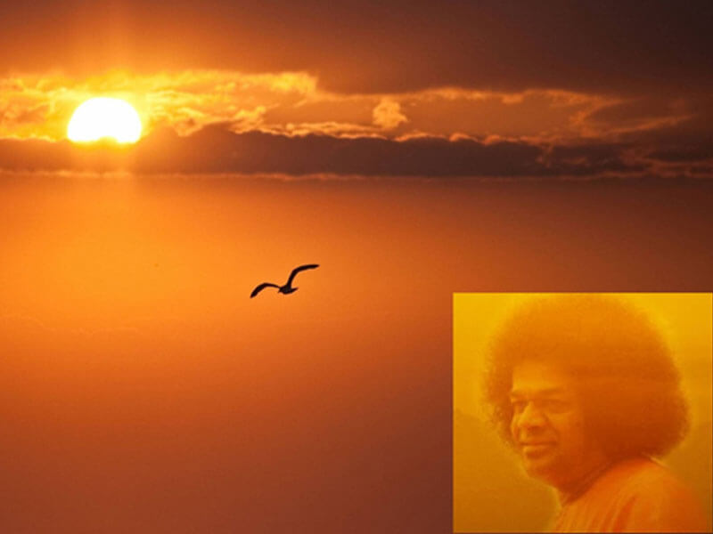 சாதகப்பறவையாய்…